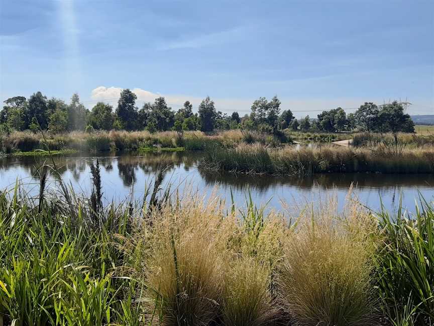 Firmins Lane Wetlands, Morwell, VIC