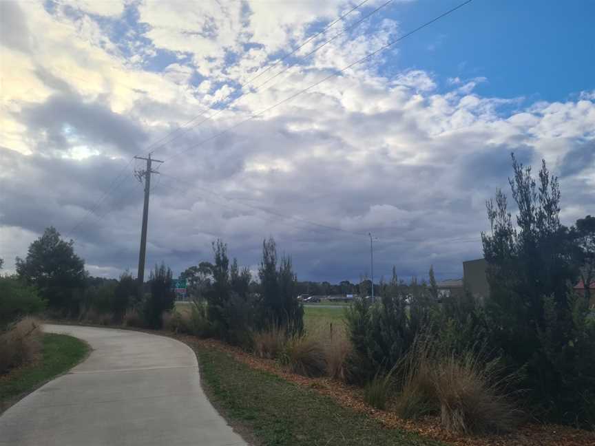 Firmins Lane Wetlands, Morwell, VIC