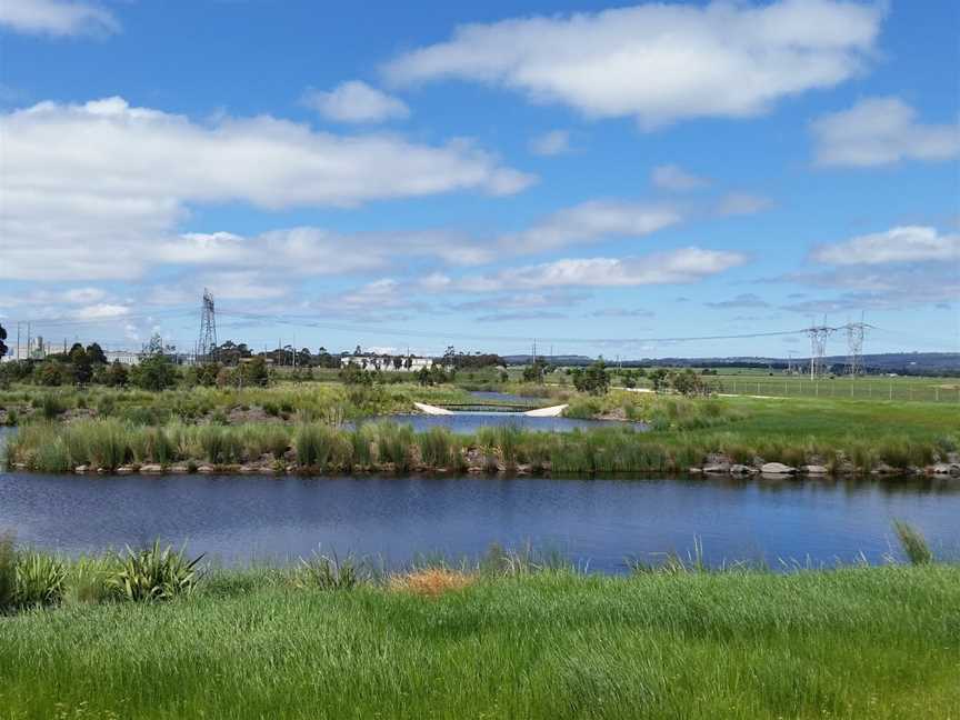 Firmins Lane Wetlands, Morwell, VIC