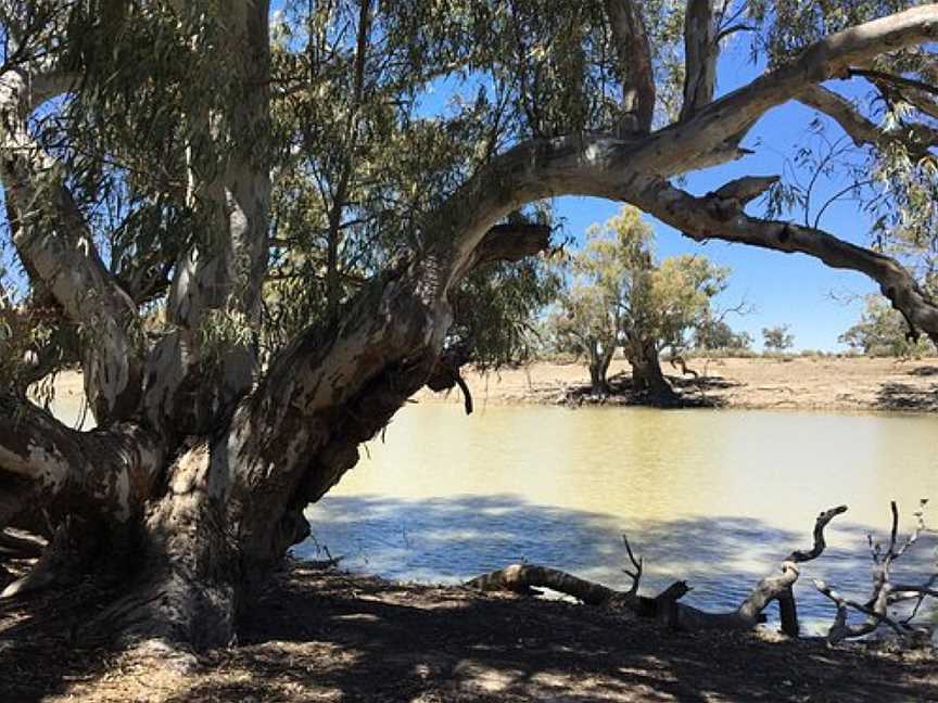 Great Darling Anabranch, Wentworth, NSW