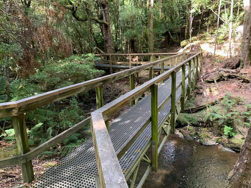 Julius River Rainforest Walk, Trowutta, TAS