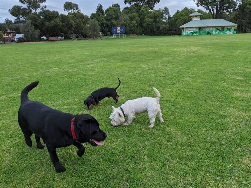 Lagoon Reserve, Port Melbourne, VIC