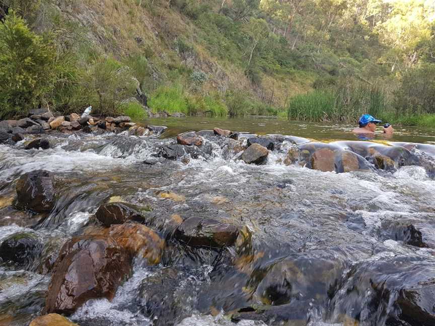 Marrangaroo National Park, Wallerawang, NSW