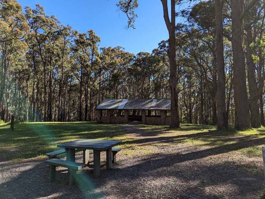 One Tree Hill Picnic Ground, Ferny Creek, VIC