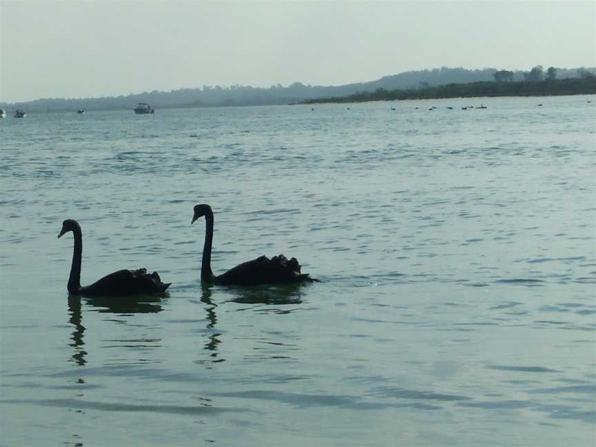 Rigbys Island, Lakes Entrance, VIC