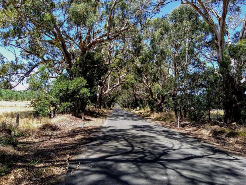 Silver Brumby Trails, Spring Hill, NSW