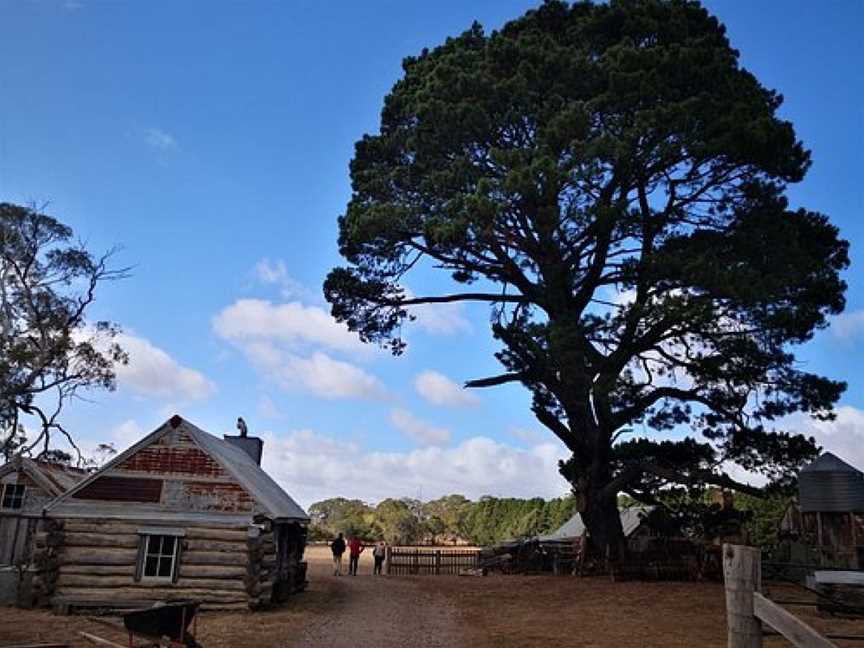 Silver Brumby Trails, Spring Hill, NSW