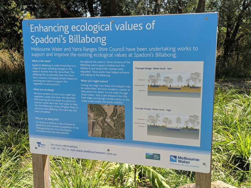 Spadonis Reserve, Yering, VIC