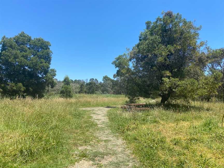 Spadonis Reserve, Yering, VIC