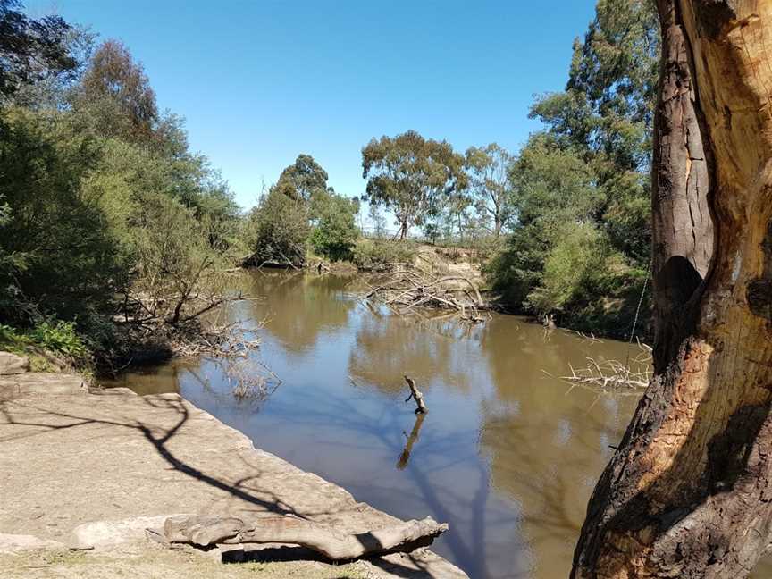 Spadonis Reserve, Yering, VIC