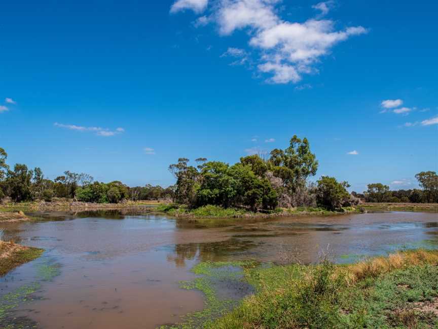 Waterloo Plains Environmental Park, Wandoan, QLD