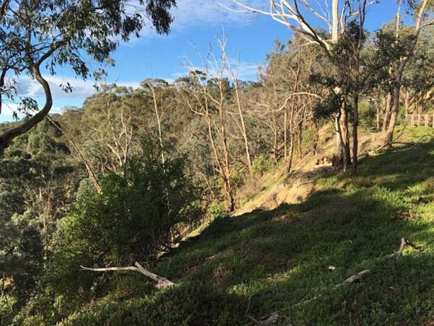 Yellow Gum Recreation Area, Plenty, VIC