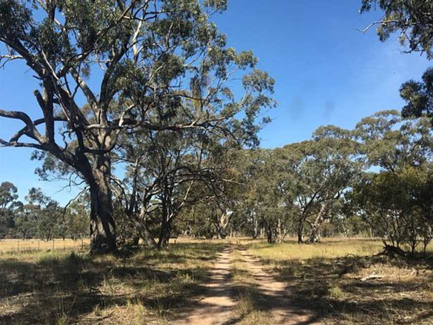 Barrabool State Forest, Murtoa, VIC