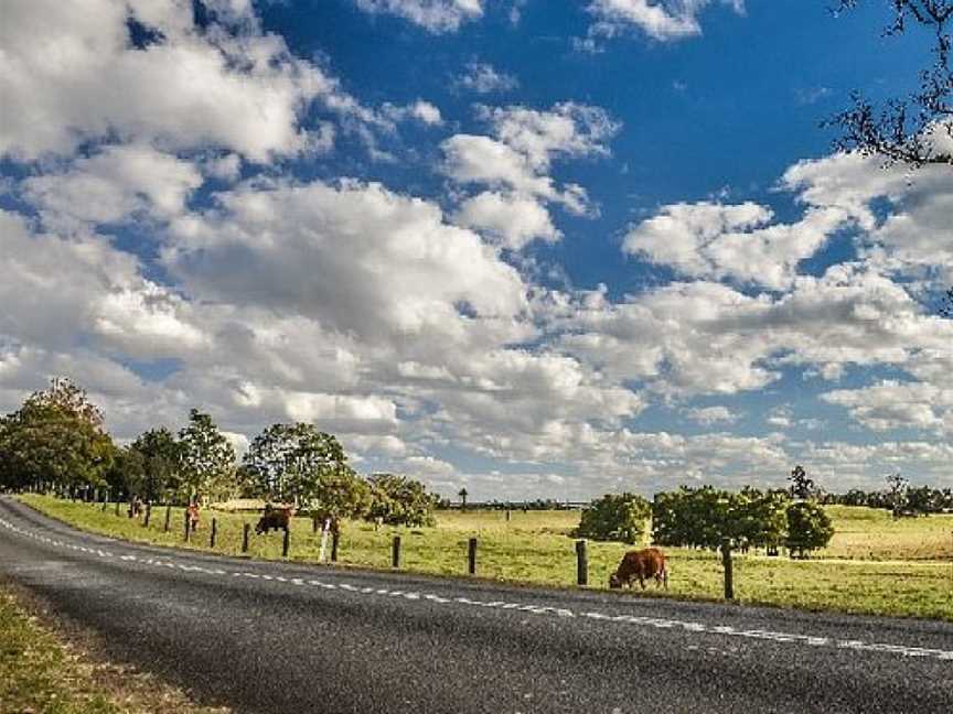 Berganns Lane Walk, Witta, QLD