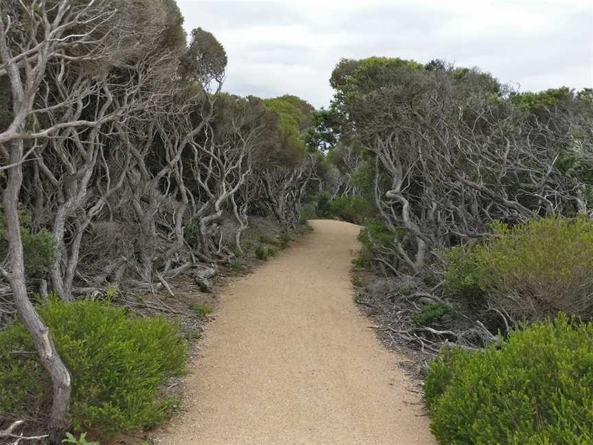 Betka Beach, Mallacoota, VIC