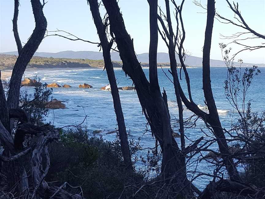 Betka Beach, Mallacoota, VIC