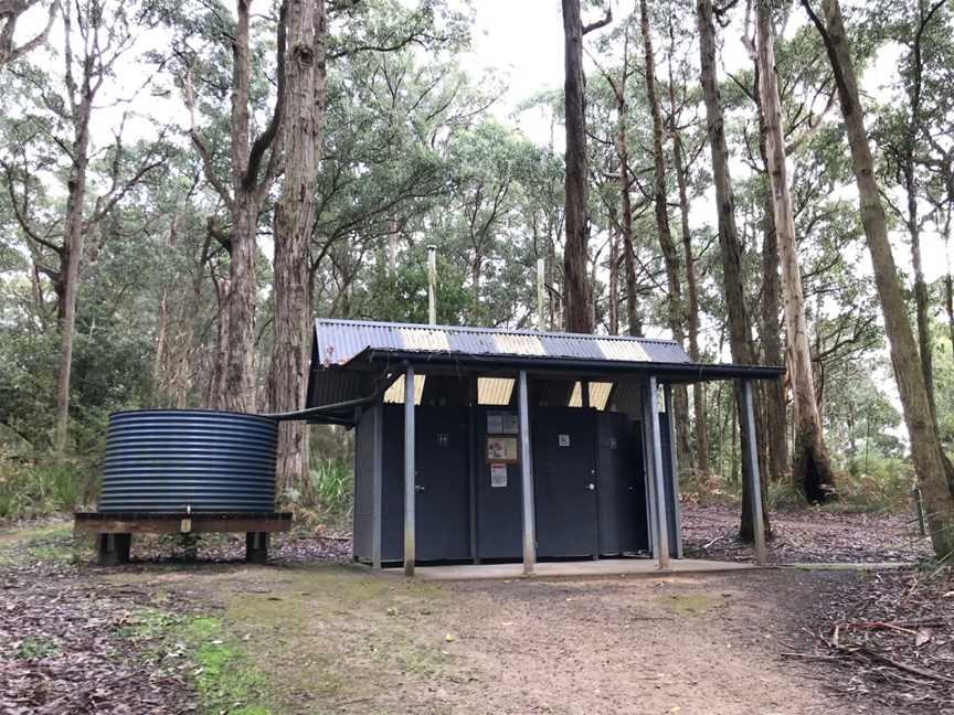 Blanket Leaf Picnic Area, Lorne, VIC