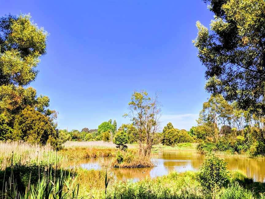 Brooker Park, Warragul, VIC