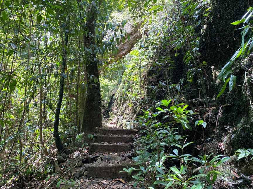 Crawford's Lookout, Innisfail, QLD