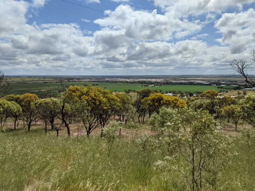 Cunderdin Hill Lookout, Cunderdin, WA