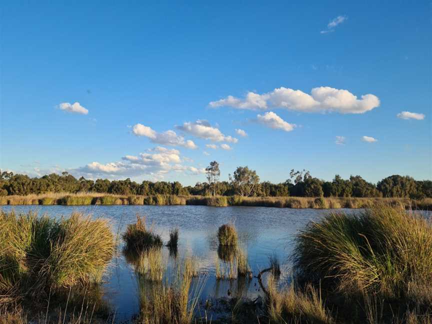 Dandenong Wetlands, Dandenong, VIC