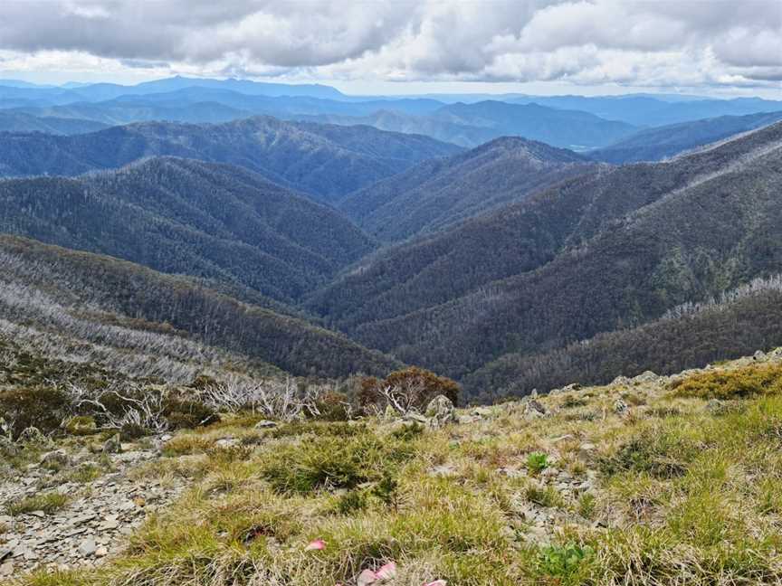 Danny's Lookout, Hotham Heights, VIC