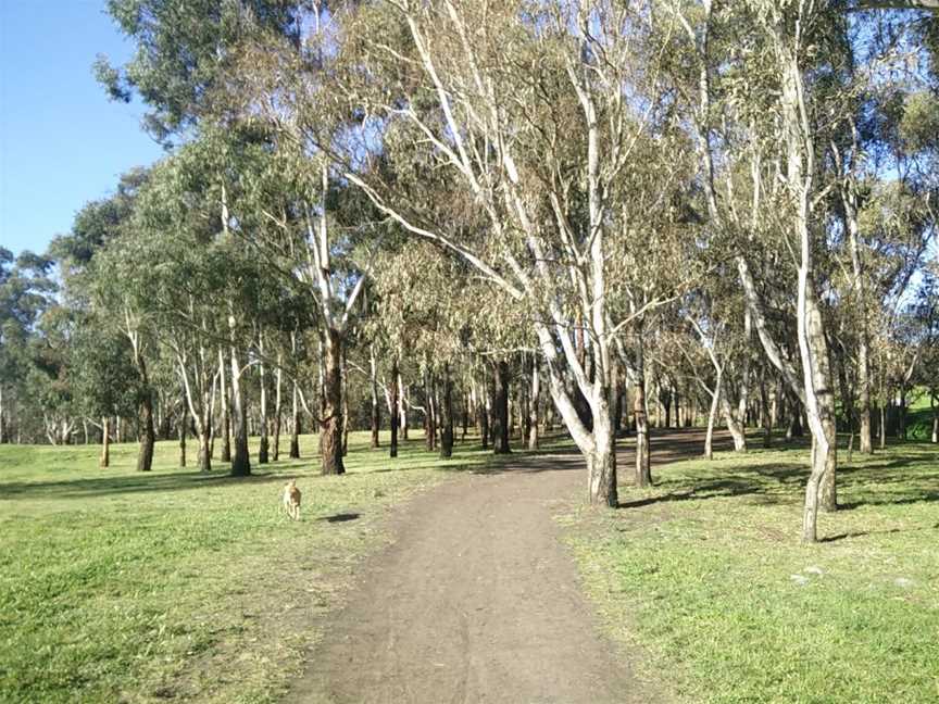 Egan Reserve, Coburg, VIC