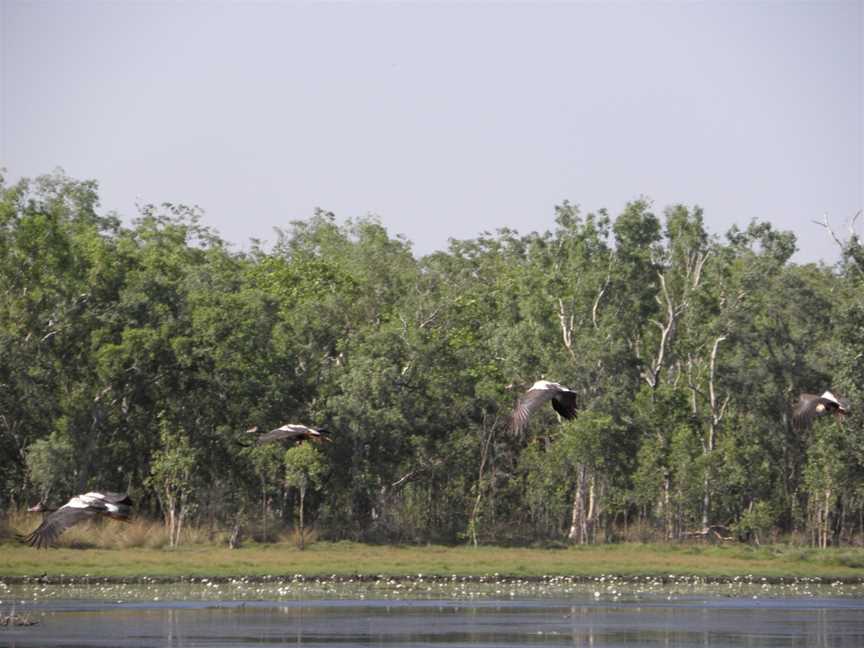 Gungarre Walk, Kakadu, NT