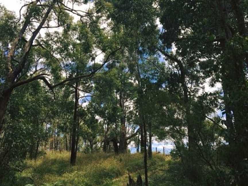 Henry Littledyke Reserve, Nyora, VIC