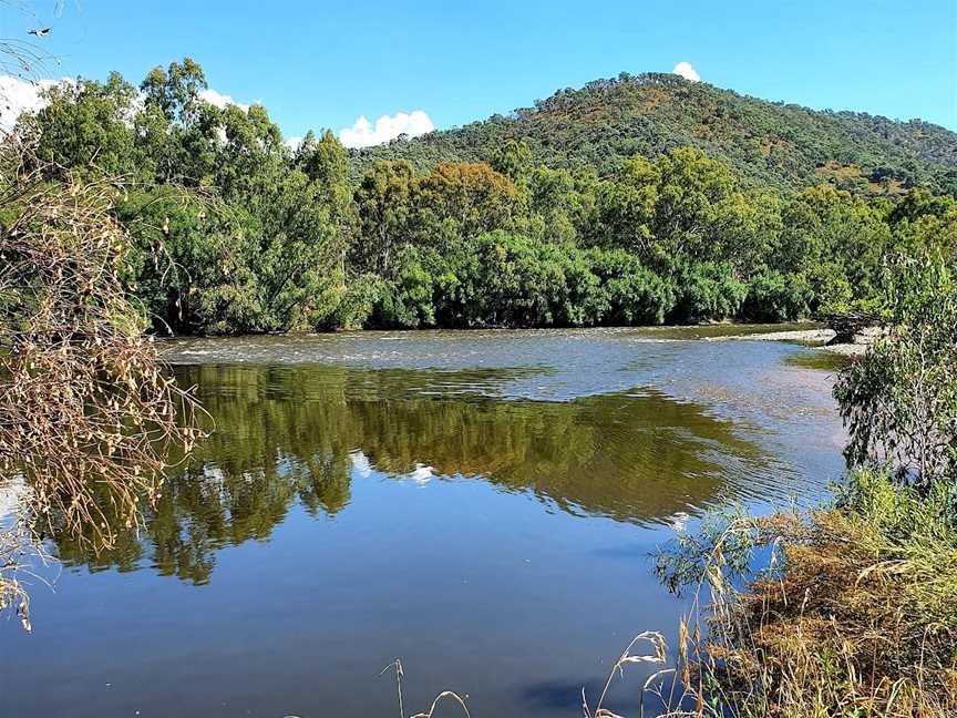 Jingellic Reserve, Jingellic, NSW