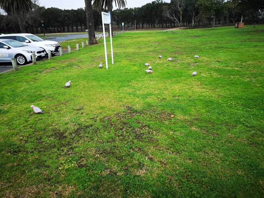 Joyce Snadden Reserve, Port Adelaide, SA