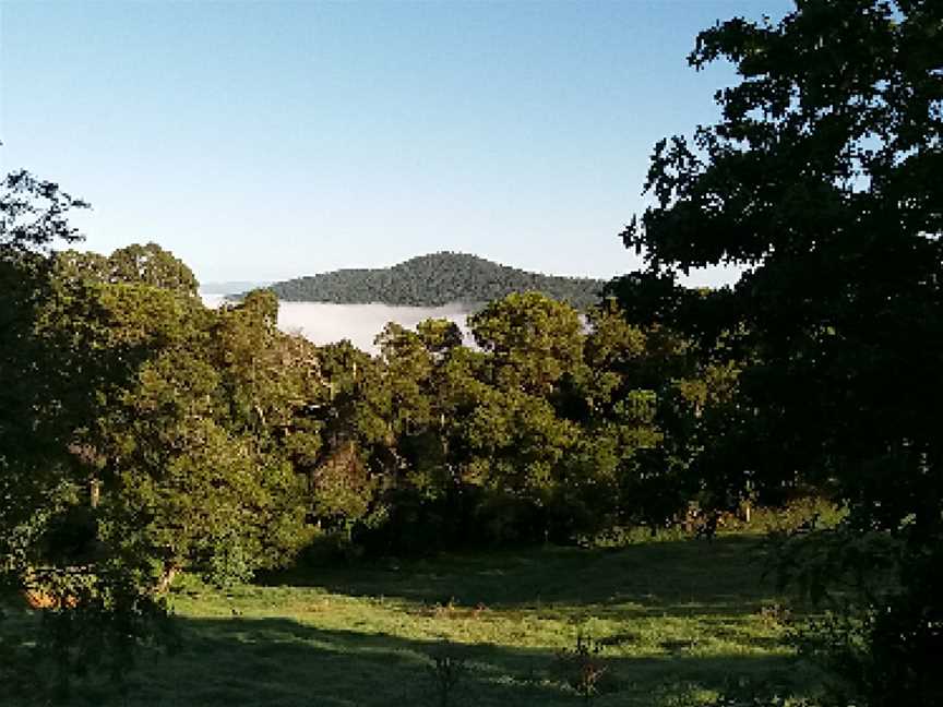 Junuy Juluum National Park, Dorrigo, NSW