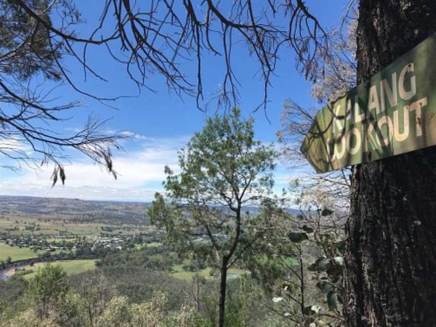 Mount Arthur Reserve Trails, Wellington, NSW