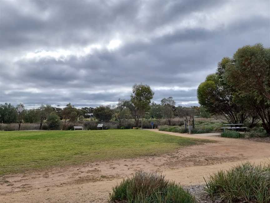 Pinnaroo Wetlands, Pinnaroo, SA