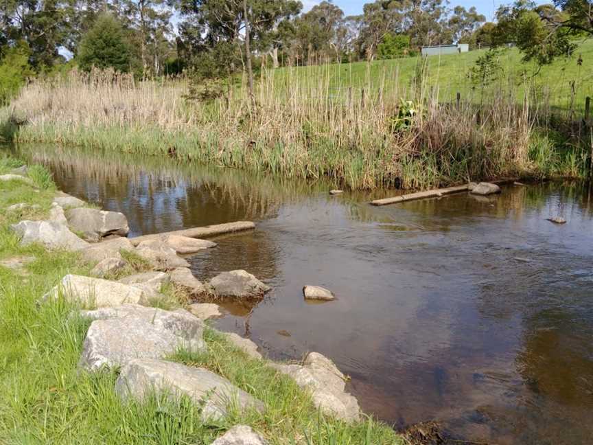 Robin Hood Reserve, Drouin, VIC