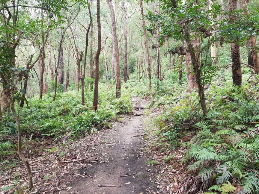 Rumbalara Reserve, Springfield, NSW