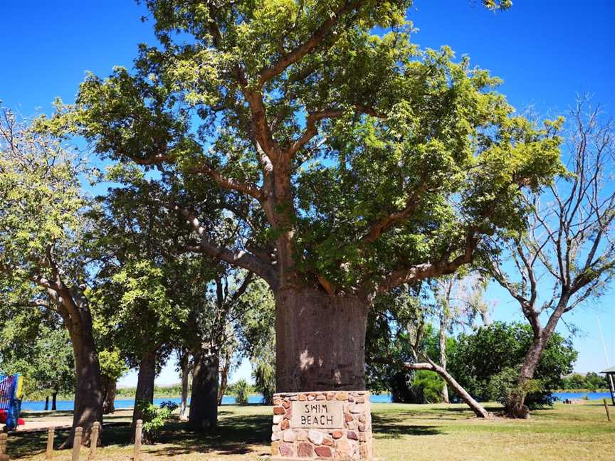 Swim Beach Park, Kununurra, WA