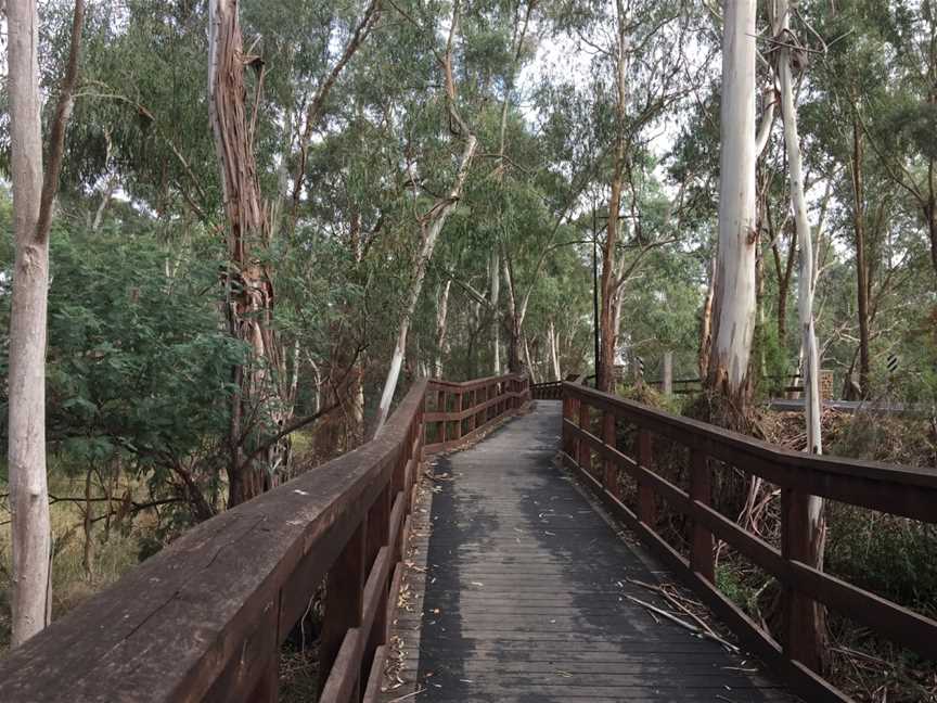 Tikalara Park, Templestowe, VIC