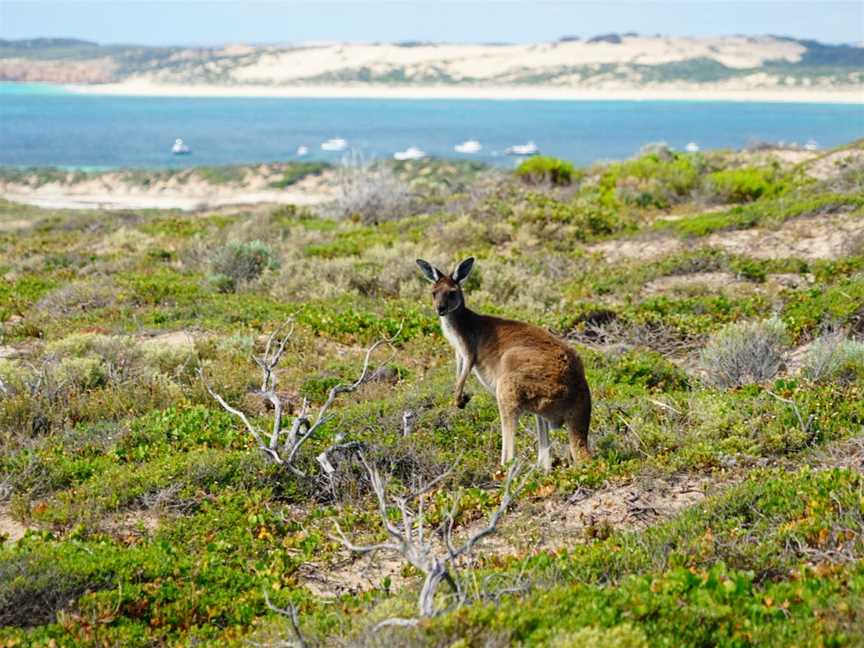 West Cape Lighthouse, Inneston, SA