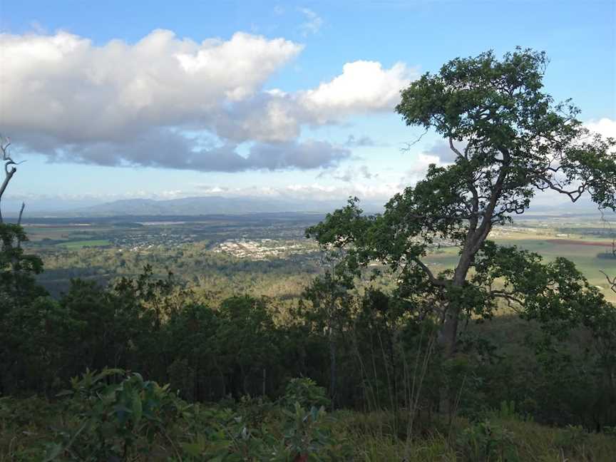 Wongabel State Forest, Atherton, QLD