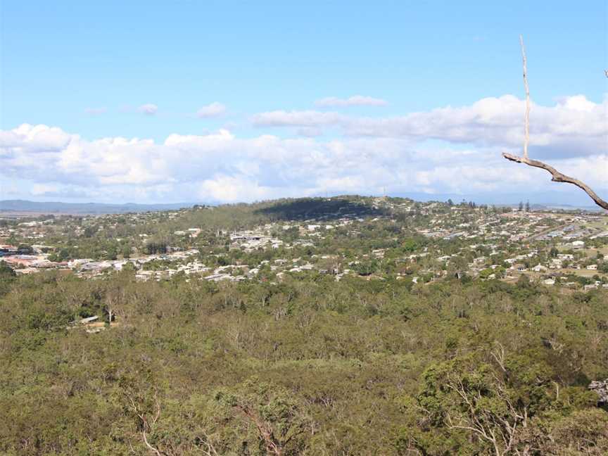 Wongabel State Forest, Atherton, QLD