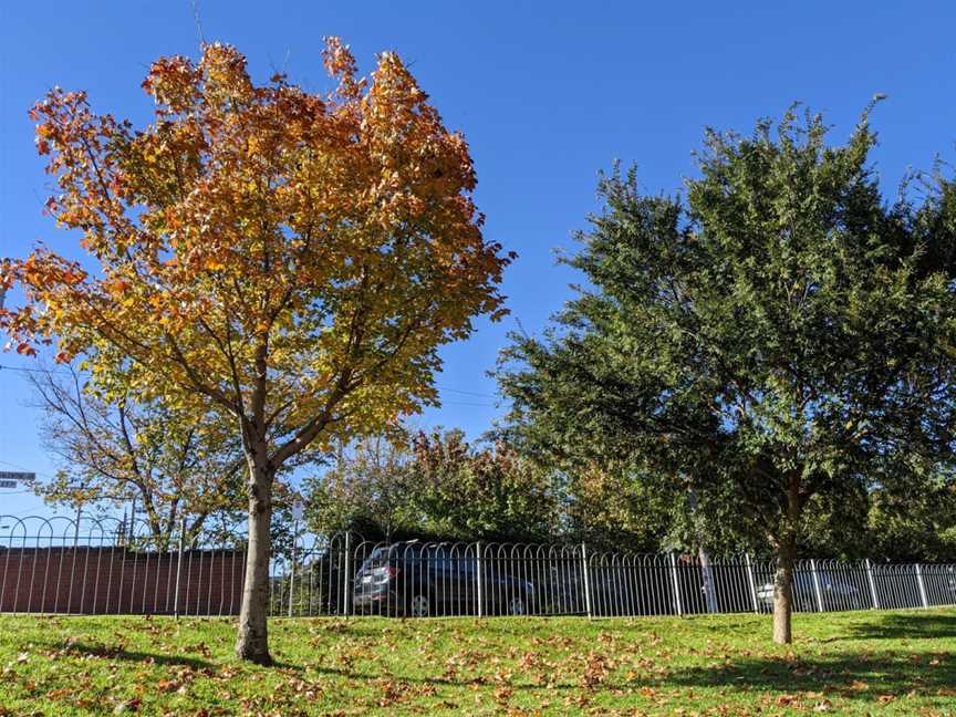 Bailey Avenue Park, Armadale, VIC