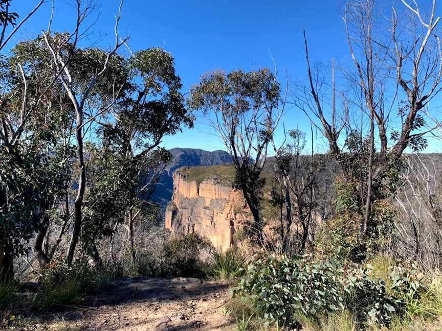 Baltzer Lookout, Blue Mountains National Park, NSW