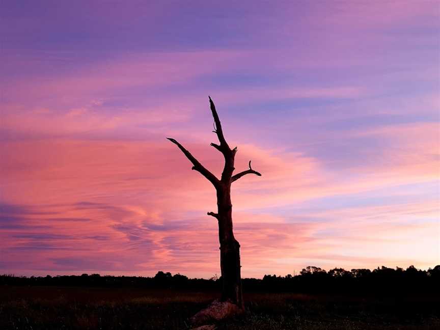 Bong Bong Common, Burradoo, NSW