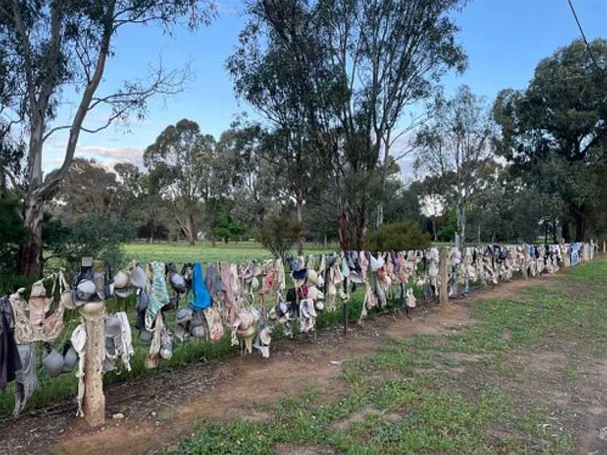 Bra Fence, Mathoura, NSW