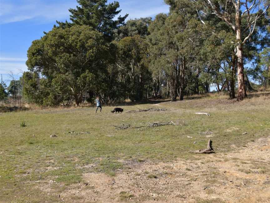 Cosgrove Reservoir, Creswick, VIC