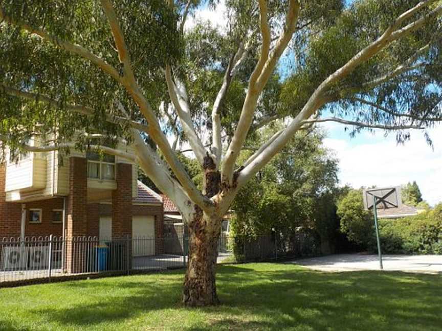 Dean Avenue Reserve, Hawthorn, VIC