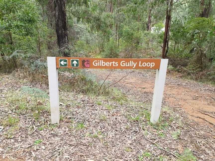 Gilbert's Gully Track, Marysville, VIC