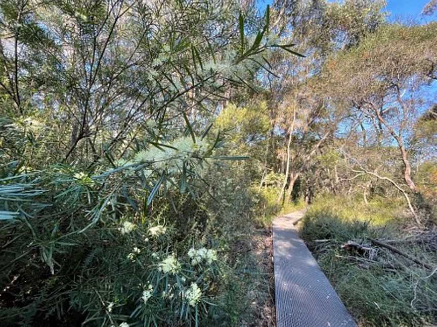 Gulgadya Muru Aboriginal Self-guided Walk, Manly Vale, NSW