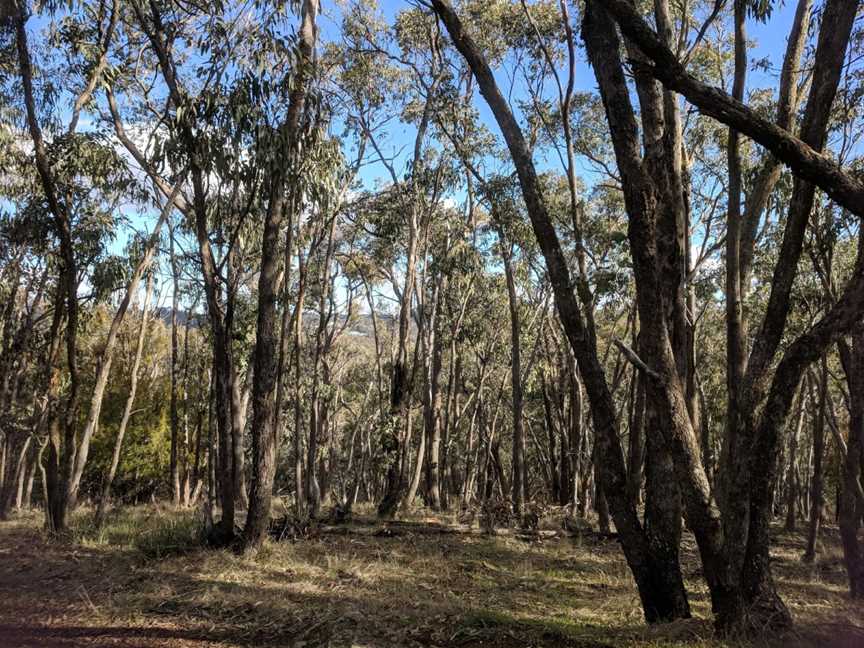 Jacksons Lookout, Hepburn Springs, VIC